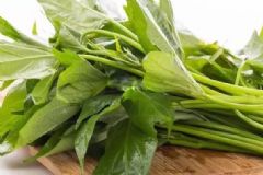 番薯葉的營養(yǎng)價值有哪些？番薯葉如何吃最好？[圖]