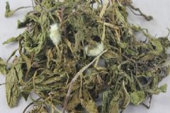 秋季蒲公英更多營(yíng)養(yǎng)價(jià)值？喝蒲公英都有什么好處呢？[圖]