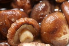 冬菇的功效作用有哪些？吃冬菇的好處是什么？[圖]