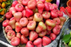蓮霧有什么營養(yǎng)價值？吃霧蓮的好處是什么？[圖]