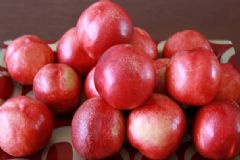 油桃的營養(yǎng)有什么價值？吃油桃有哪些禁忌？[圖]