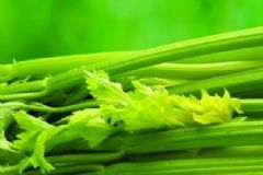 芹菜怎么吃對(duì)身體好？芹菜治病的吃法？[圖]