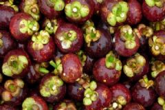 山竹的營養(yǎng)價值是什么？吃山竹的養(yǎng)生功效有哪些？[圖]