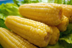 經(jīng)常吃玉米有什么好處？吃玉米的好處有哪些呢？[圖]