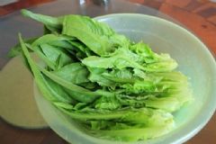 萵筍葉的營(yíng)養(yǎng)有什么價(jià)值？萵筍葉的功效作用是什么？[圖]
