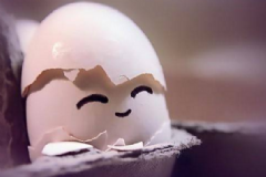 雞蛋殼保健的作用有哪些？雞蛋殼的妙用有哪些？[圖]