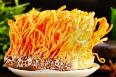 蟲草花的功效作用是什么？蟲草花的食用方法有哪些？[圖]