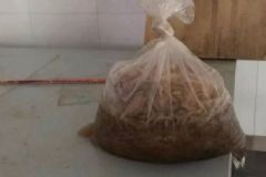 幼兒園食堂冰柜像垃圾桶，食物放冰箱要注意什么？[多圖]