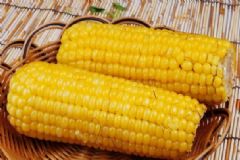 玉米的功效與作用是什么？常吃玉米的好處有哪些？[圖]