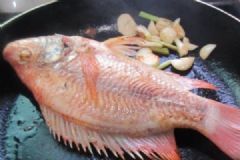 彩虹雕魚有哪些功效？吃彩虹雕魚的好處有哪些？[圖]