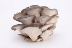 菌類食物的營養(yǎng)功效有哪些？常吃菌類食物的好處是什么？[圖]