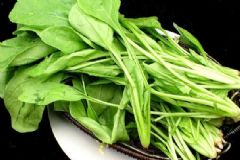 吃菠菜的養(yǎng)生效果有哪些？菠菜營(yíng)養(yǎng)價(jià)值有多高？[圖]