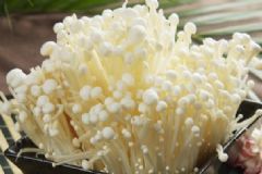金針菇的保健功效有哪些？金針菇的營(yíng)養(yǎng)食譜有哪些？[圖]