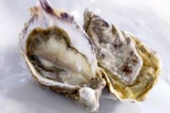 男人吃生蠔有何好處？吃生蠔需注意什么什么？[圖]