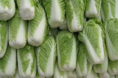 食物中的補鈣高手有哪些？常吃哪些食物補鈣效果好？[圖]