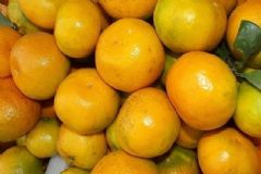 秋冬吃橘子的好處有哪些？購買橘子的技巧有哪些？[圖]