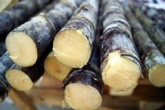 為皮膚補水美白的食物有哪些？吃哪些食物保養(yǎng)皮膚最好？[圖]