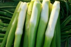 哪些食物沒弄熟不能吃？生吃什么蔬菜有毒？[圖]