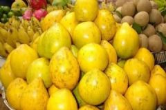 雞蛋果的營養(yǎng)功效有哪些？雞蛋果的類型有哪些？[圖]
