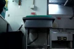 海底撈廚房：老鼠爬進(jìn)食品柜，火鍋漏勺掏下水道[多圖]
