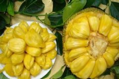 菠蘿蜜的吃法有哪些？吃菠蘿蜜有什么注意事項(xiàng)？[圖]