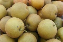 秋天吃梨的好處有哪些？秋天吃梨怎么吃最養(yǎng)生？[圖]