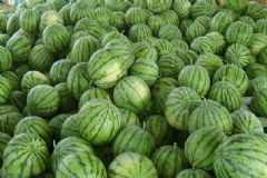 夏天吃什么水果最養(yǎng)生？夏天適合吃的水果食物有哪些？[圖]