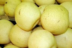 雪花梨的營養(yǎng)功效有哪些？雪花梨的營養(yǎng)吃法有哪些？[圖]