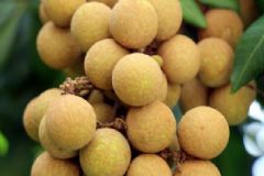 安神補(bǔ)血食物有哪些？哪些食物吃了能安神補(bǔ)血？[圖]