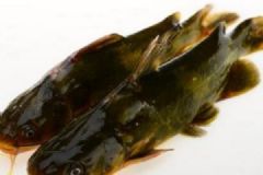 吃黃古魚(yú)有什么好處？黃古魚(yú)的功效作用有哪些？[圖]