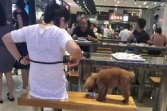 一對男女用公共餐具喂狗，和狗共用餐具會怎樣？[多圖]