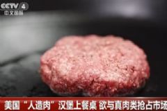 人造肉漢堡上餐桌，口感與真肉相差無幾，吃漢堡好不好？[多圖]