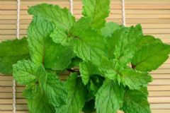 薄荷葉的功效有哪些？薄荷葉有什么作用？[圖]