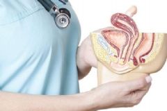 大腸濕熱是何原因？大腸濕熱怎么調(diào)理？[圖]