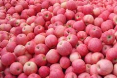 多吃蘋(píng)果好處多，盤點(diǎn)吃蘋(píng)果的八大益處[圖]
