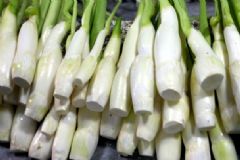 茭白的營(yíng)養(yǎng)價(jià)值是什么？茭白的要用價(jià)值有哪些？[圖]