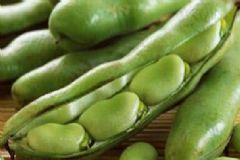 豆類蔬菜的保健功效有哪些？豆類蔬菜有什么食療作用？[圖]
