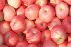 吃蘋果能預(yù)防哪些疾??？常吃蘋果有哪些好處？[圖]
