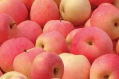 孕婦常吃蘋果有哪些好處？孕婦如何吃蘋果最養(yǎng)生？[圖]
