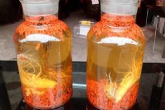 泡服藥酒的方法是是你嗎？飲用藥酒要注意什么？[圖]