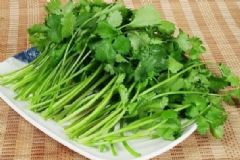 香菜根的食療功效有哪些？哪些菜根營(yíng)養(yǎng)價(jià)值高？[圖]