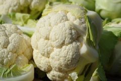 吃什么蔬菜能清理腸胃？清理腸胃的蔬菜有哪些？[圖]