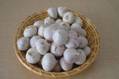 那些人不適合吃大蒜？哪些人最好不要吃大蒜？[圖]