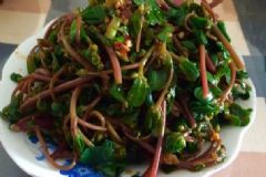 哪些野菜有利于健康？吃什么野菜對(duì)身體好？[圖]