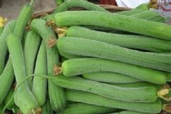 絲瓜有什么食療功效？絲瓜的食療功效[圖]