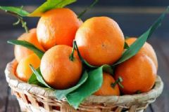 秋季容易疲勞怎么辦？哪些食物緩解秋季疲勞最好？[圖]