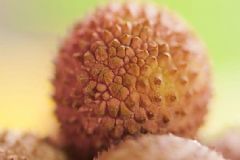 夏季吃荔枝有什么好處？夏季吃荔枝的功效有哪些？[圖]