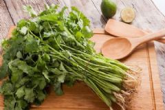夏季吃香菜有什么好處？香菜的營養(yǎng)功效有哪些？[圖]