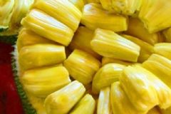 如何食用菠蘿蜜？菠蘿蜜有哪些藥用價(jià)值？[圖]