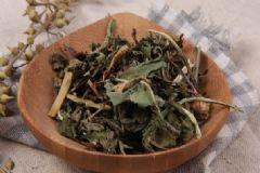 蒲公英的食療功效有哪些？婆婆丁的功效作用是什么？[圖]